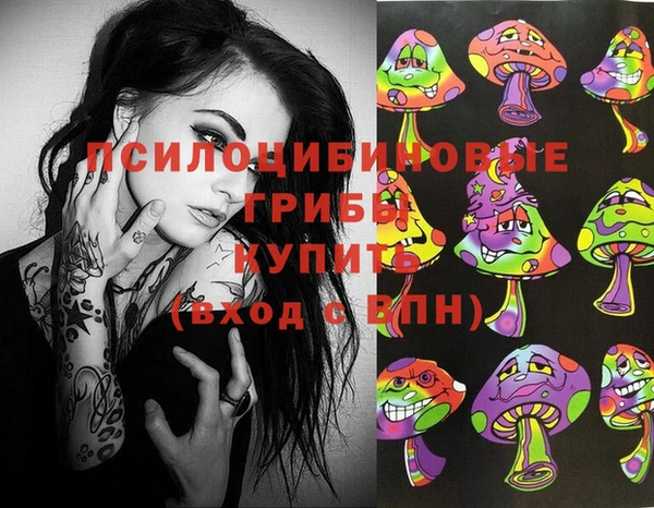 PSILOCYBIN Вязьма