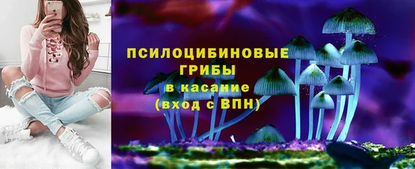 PSILOCYBIN Вязьма